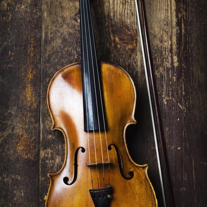 Viola Lessons for Adults The House of Voice