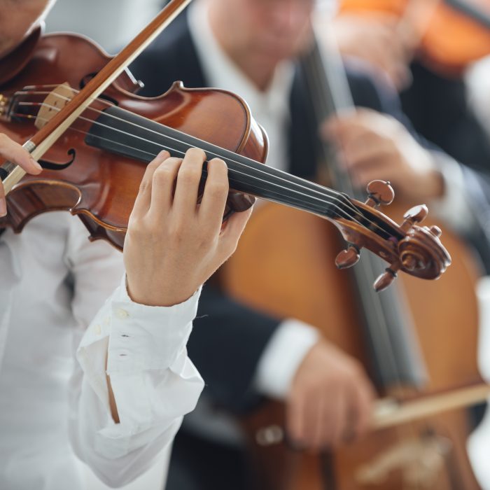 Violin Performance The House of Voice